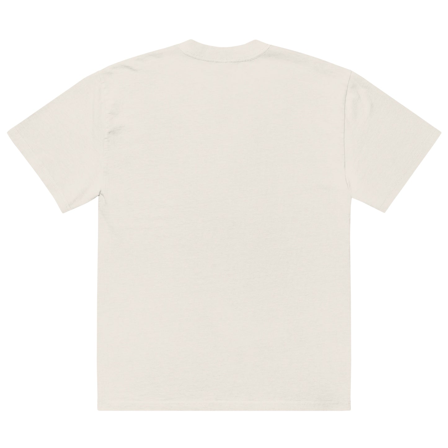Embroidered Oversized faded t-shirt